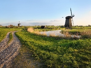Way, grass, Windmills