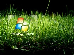 grass, logo, Windows 7