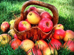 grass, apples, wooden, basket