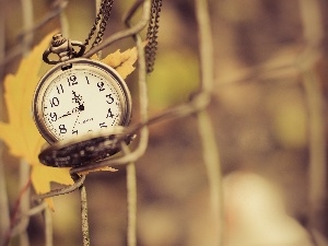 leaf, grating, Clock