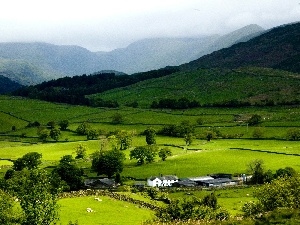 great, England, village, Britain, Grasmere