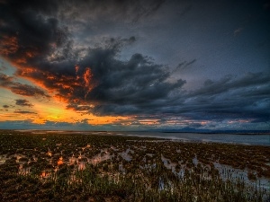 Great Sunsets, clouds, swamp