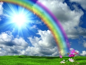Great Rainbows, Flowers, Sky