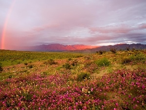 Great Rainbows, The Hills, Meadow