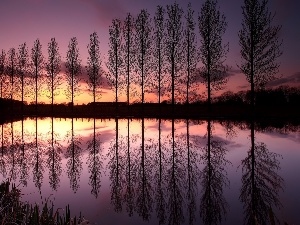 Great Sunsets, viewes, lake, reflection, trees