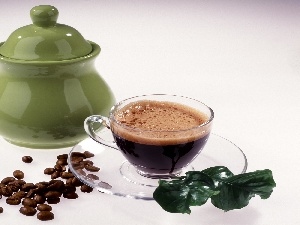 Green, grains, cup, sugar bowl, coffee