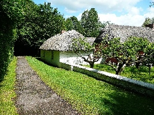 green, Skansen, old, Houses