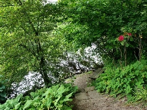 green, Bench, Park, corner