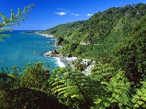 green, New Zeland, Sea Mountain