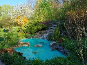 water, green, Garden