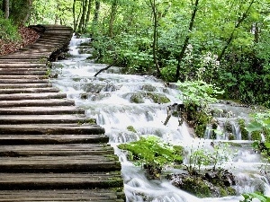 waterfall, green, Park