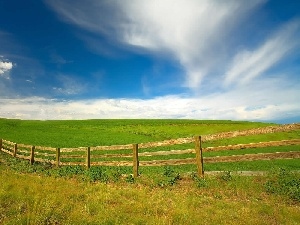 wooden, green ones, field, Spring, Fance, Extensive