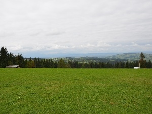 gubalowka, car in the meadow, Zakopane