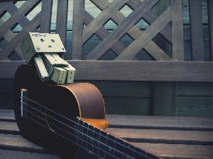 Guitar, Danbo