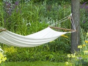 green, Hammock, summer