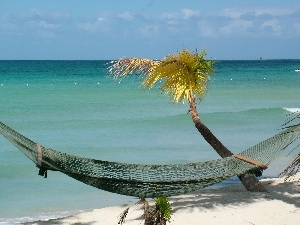 Hammock, Palm, sea, Beaches