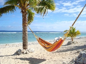 Hammock, Palm, sea, Beaches