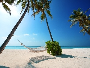 sun, Hammock, Beaches