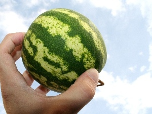 hand, high, small, watermelon