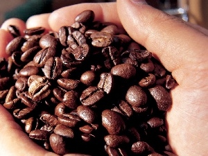 coffee, hands, grains