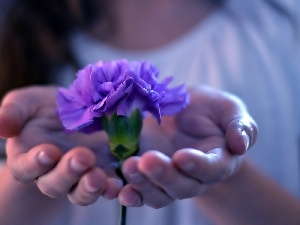 hands, pink