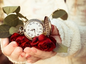 Hands, Watch, ##, Red, Womens, roses
