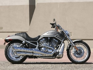 Harley Davidson V-Rod, Cruiser