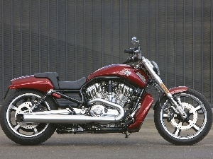 side, Harley Davidson V-Rod Muscle, right