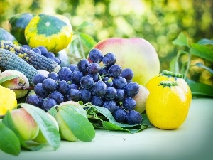 harvest, apples, peaches, Grapes, Garden, corn