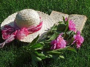 Book, Hat, Peonies