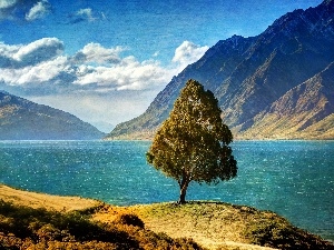 hawea, Mountains, lake, New Zeland, trees
