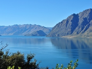 hawea, VEGETATION, lake, New Zeland, Mountains