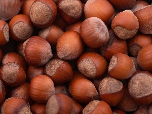 hazelnuts, nuts