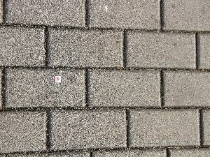 Heart teddybear, Red, brick, pavement