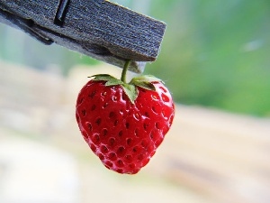 clip, Heart, Strawberry