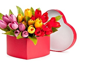 Heart, Box, color, Tulips