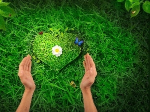 hands, Heart, grass