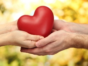 Heart, hands, Valentine