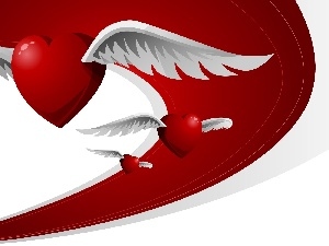 heart, wings, Valentine