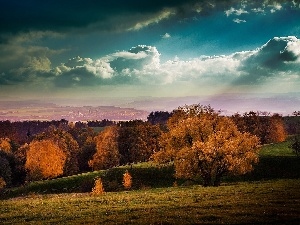 Hill-side, Sky, trees, viewes