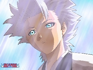 Toshiro Hitsugaya, captain