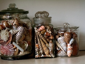 hobby, decoration, Shells, Jars