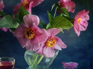 Hollyhocks, Pink, pitcher, cup