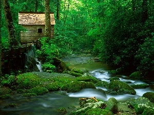Home, Stones, forest, River