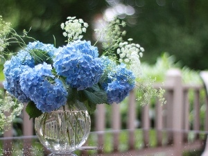 Blue, Hortense, bouquet