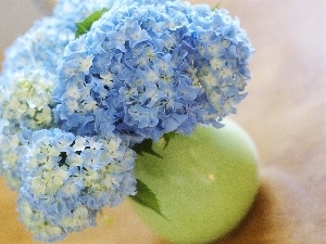 Flowers, Hortense, Blue