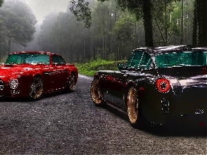 forest, Hot Rods