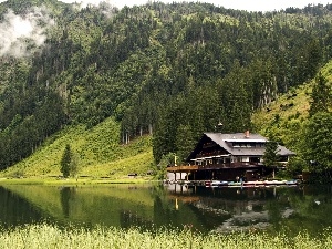 house, River, Mountains, Fog, woods
