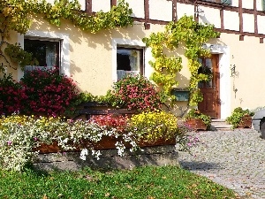 house, green, Garden, Flowers