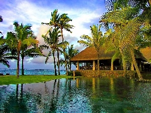 Palms, house, sea